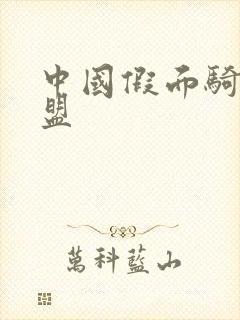 中国假面骑士联盟