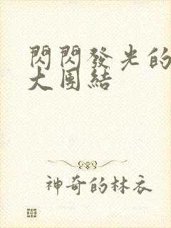 闪闪发光的小说大团结