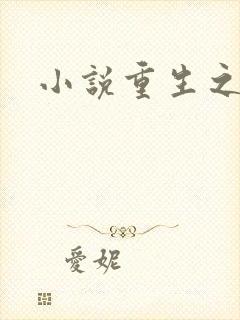 小说重生之官道