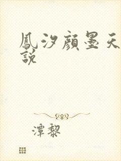 凤汐颜墨天问小说