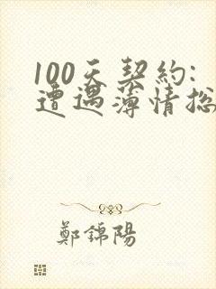 100天契约:遭遇薄情总裁