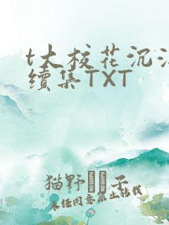 t大校花沉浮录续集TXT