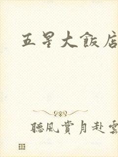 五星大饭店小说