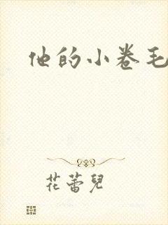 他的小卷毛