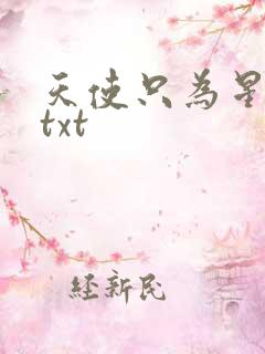 天使只为星夜哭txt