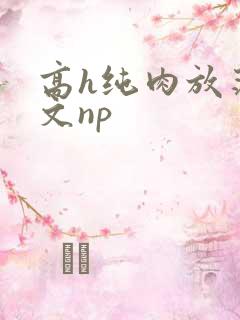 高h纯肉放荡h文np