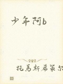 少年阿b