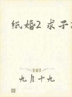 纸婚2 求子记