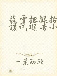 苏雪把腿抬起来让我进去小说