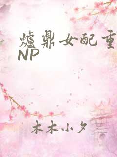 炉鼎女配重生之NP