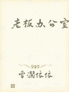 老板办公室调数