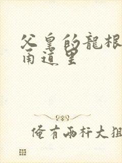 父皇的龙根在我甬道里