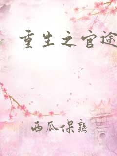 重生之官途风流