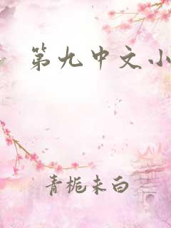 第九中文小说网
