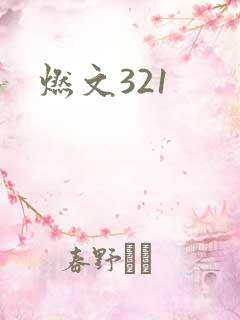 燃文321