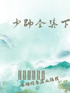 少帅全集下载