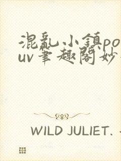 混乱小镇popuv笔趣阁妙妙