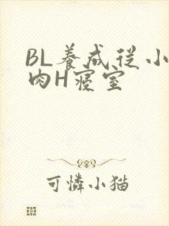 BL养成从小被肉H寝室