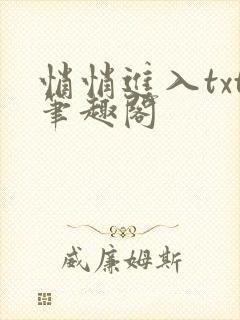 悄悄进入txt笔趣阁