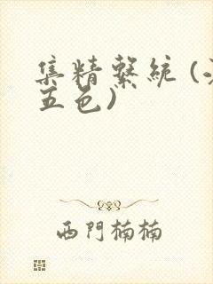 集精系统 (江五色)