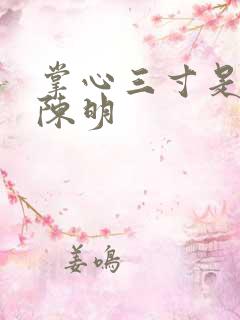 掌心三寸是人间陈明