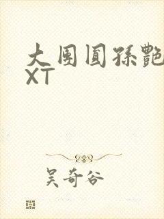 大团圆孙艳梅TXT