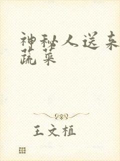 神秘人送来千斤蔬菜