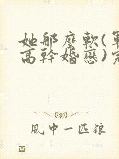 她那么软(军婚高干婚恋)完结