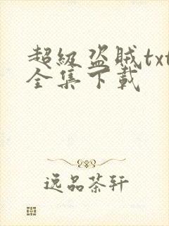 超级盗贼txt全集下载
