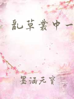 乱草丛中一杆枪