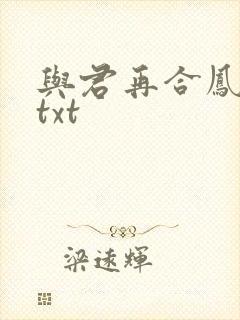 与君再合凤求凰txt