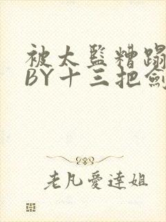 被太监糟蹋之后BY十三把剑