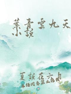 叶青云九天玄宗小说