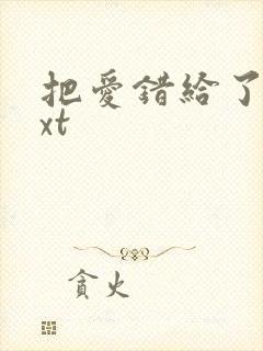把爱错给了你txt