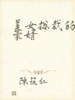 美女总裁的顶级豪婿