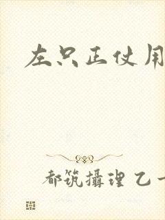 左只正仗用
