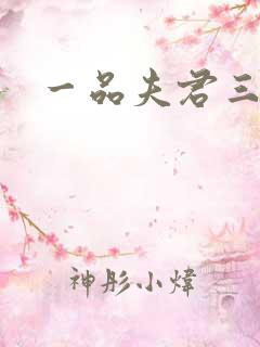 一品夫君三流妻