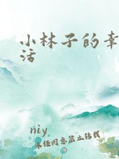小林子的幸福生活