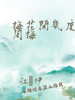 梅花开几度老张周梅