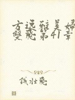 方逸雅美妇厨房双飞第41章