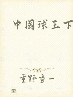中国球王下载