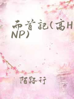 面首记(高H NP)