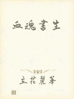 血魂书生