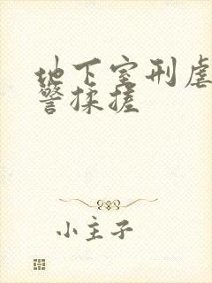 地下室刑虐女刑警揉搓