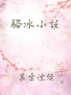 骆冰小说