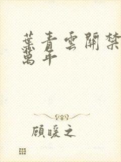 叶青云关禁闭一万年