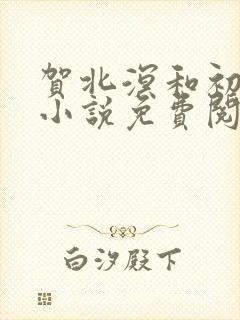 贺北溟和初夏的小说免费阅读无弹窗
