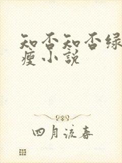 知否知否绿肥红瘦小说