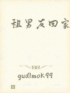 租男友回家过年