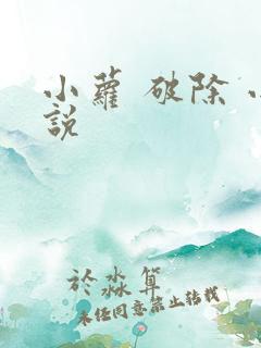 小萝 破除 小说